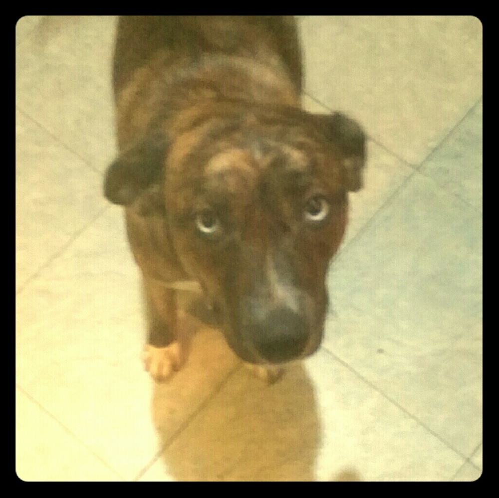 POSHing advice from "Neela",